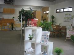 20110823-111136.jpg