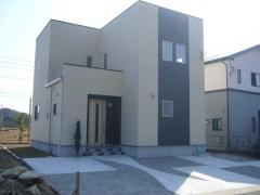 20120203-144616.jpg