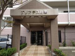 20111111-120503.jpg 20111111-120503.jpg