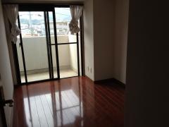 20111111-120536.jpg