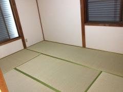 20111129-144008.jpg